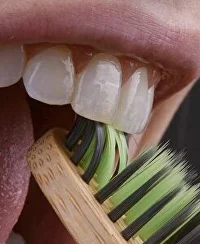 5f6abfbd5327f4a1b473.jpg.jpg 5f6abfbd5327f4a1b473.jpg.jpg